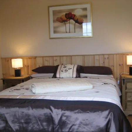 Laune Bridge House Guest Panzió Cill Airne